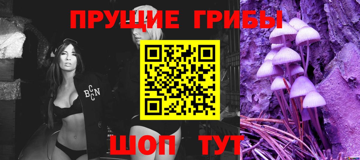 Галлюциногенные грибы Psilocybine cubensis Саров